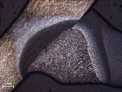 Tecnicas de contraste microscopio zeiss observer